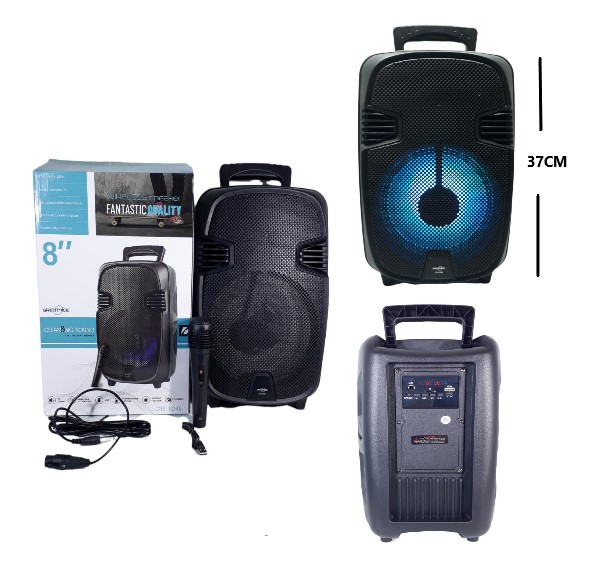 Parlante 8" Bluetooth c/micrófono 